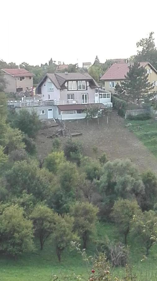 Panorama Apartman Molvice Zewnętrze zdjęcie