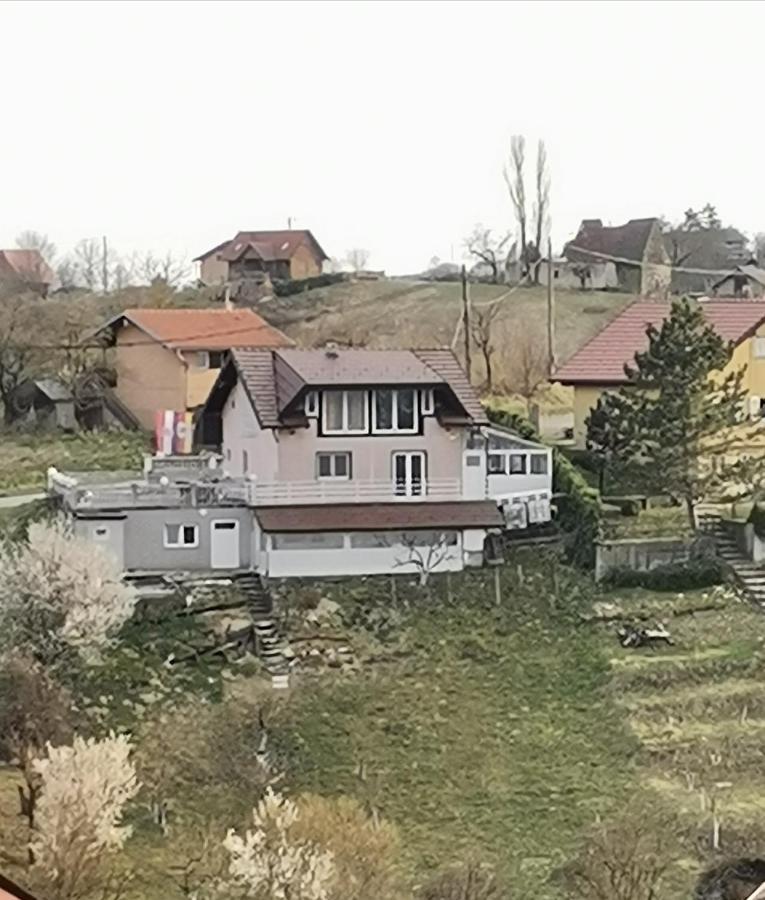 Panorama Apartman Molvice Zewnętrze zdjęcie